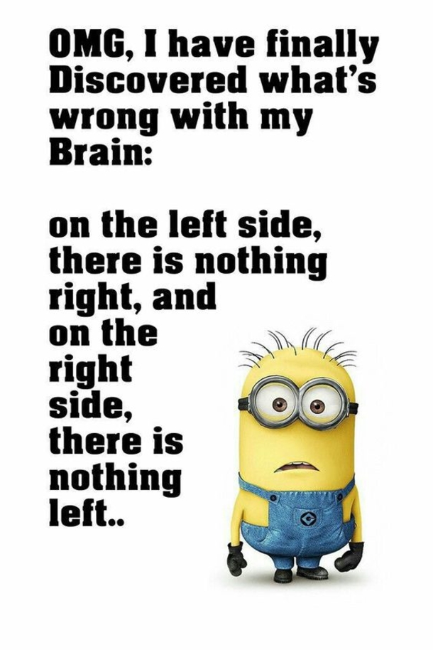 10 Best Funny Minion Jokes - picture 12