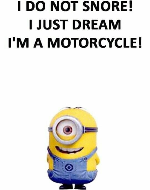 10 Best Funny Minion Jokes - picture 6