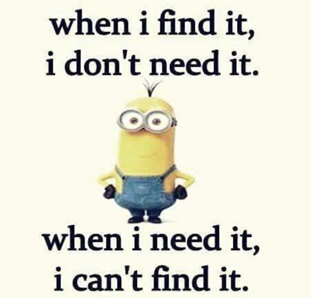 10 Best Funny Minion Jokes - picture 9
