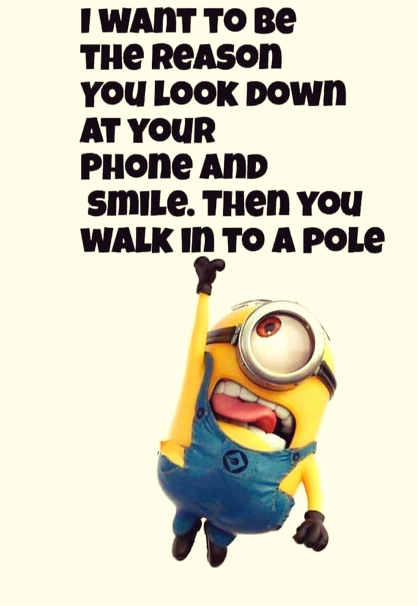 10 Best Funny Minion Picture Quote Ideas (2023) - picture 2