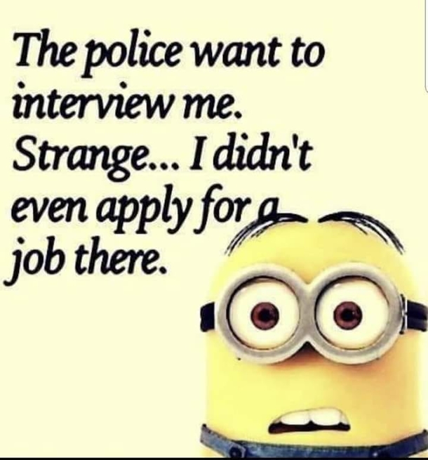 10 Best Funny Minion Picture Quote Ideas (2023) - picture 3