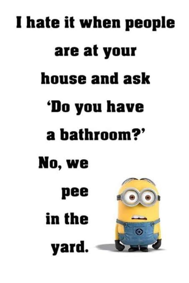 10 Best Funny Minion Picture Quote Ideas (2023) - picture 4