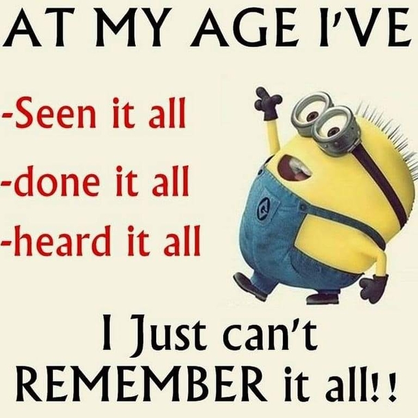 10 Best Funny Minion Picture Quote Ideas (2023) - picture 7