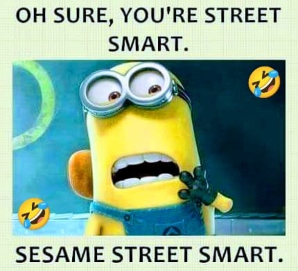 10 Best Funny Minion Picture Quote Ideas (2023) - picture 9