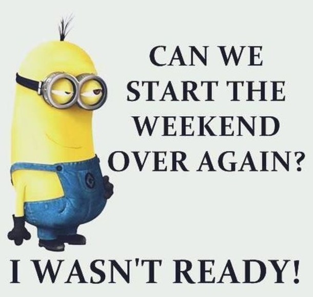 10 Best Funny Minion Weekend Quotes - picture 10