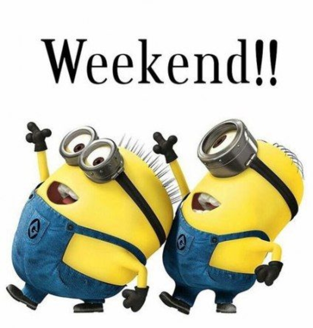 10 Best Funny Minion Weekend Quotes - picture 3