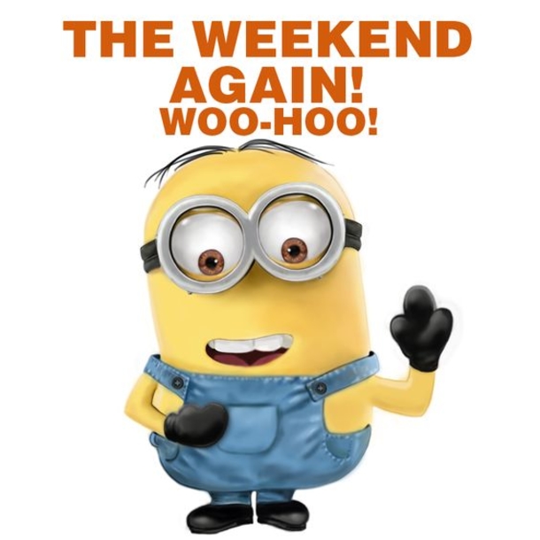 10 Best Funny Minion Weekend Quotes - picture 6