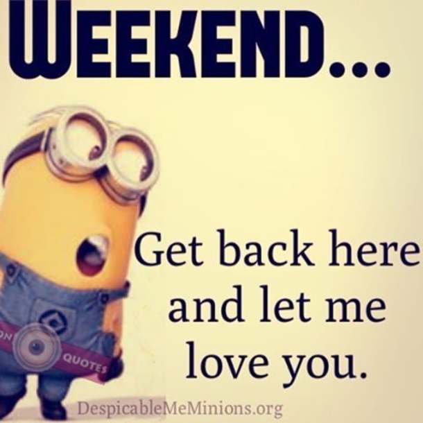10 Best Funny Minion Weekend Quotes - picture 7