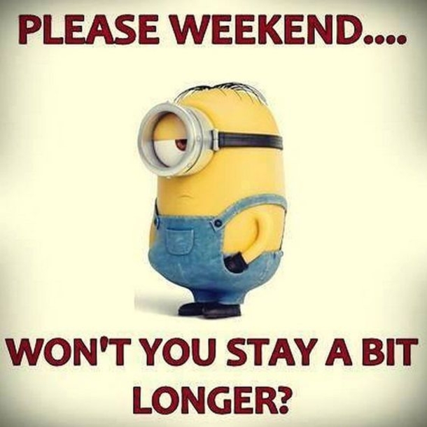 10 Best Funny Minion Weekend Quotes - picture 8