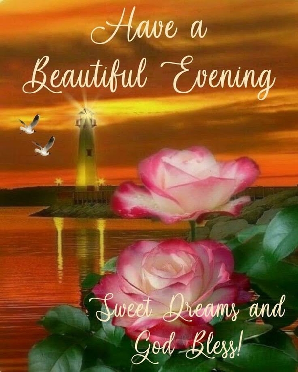 10 Best Good Evening & Good Night Images To Bring Blessings To Your Night - picture 10