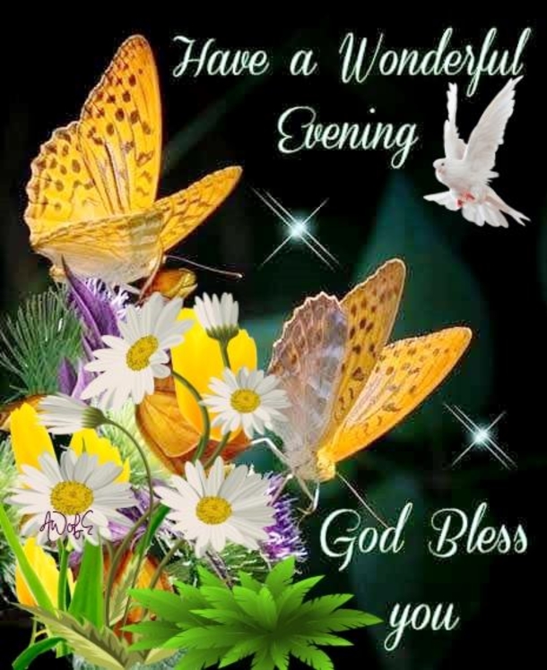 10 Best Good Evening & Good Night Images To Bring Blessings To Your Night - picture 12