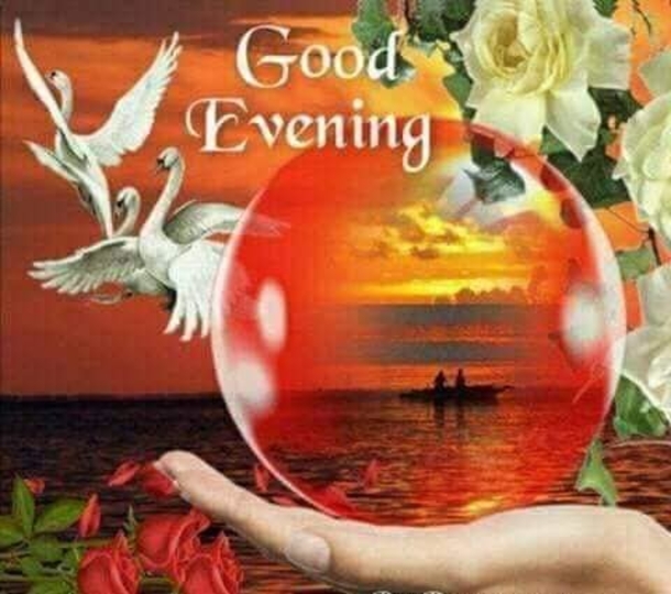 10 Best Good Evening & Good Night Images To Bring Blessings To Your Night - picture 2