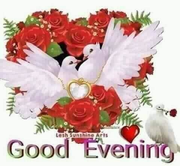 10 Best Good Evening & Good Night Images To Bring Blessings To Your Night - picture 5