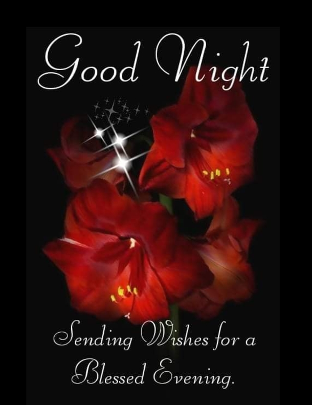 10 Best Good Evening & Good Night Images To Bring Blessings To Your Night - picture 7