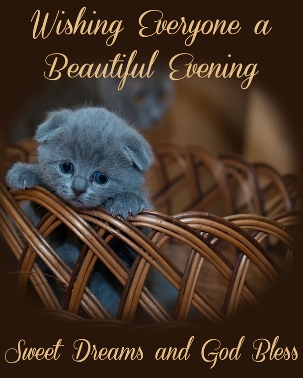 10 Best Good Evening & Good Night Wishes To Make Your Night Beautiful - picture 10