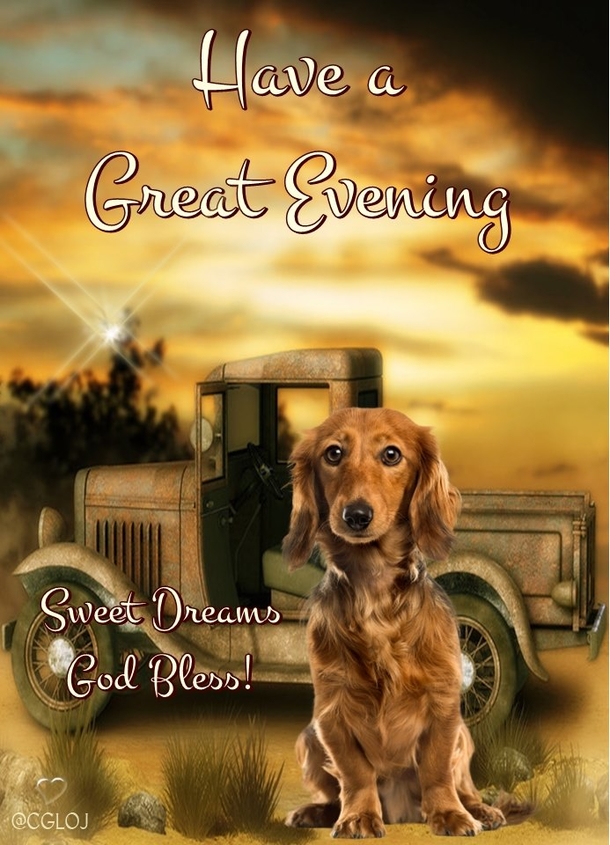 10 Best Good Evening & Good Night Wishes To Make Your Night Beautiful - picture 2