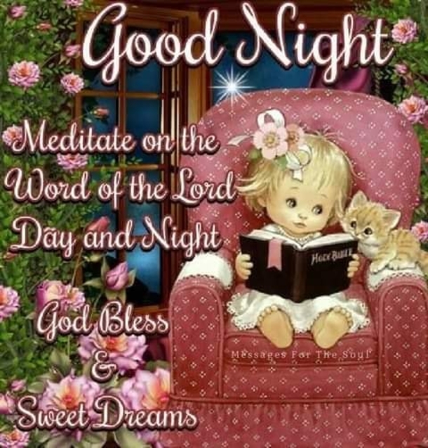 10 Best Good Evening & Good Night Wishes To Make Your Night Beautiful - picture 7
