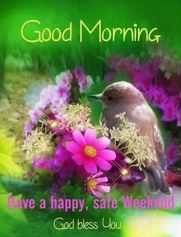 10 Best Good Morning Happy Weekend Quotes - picture 10