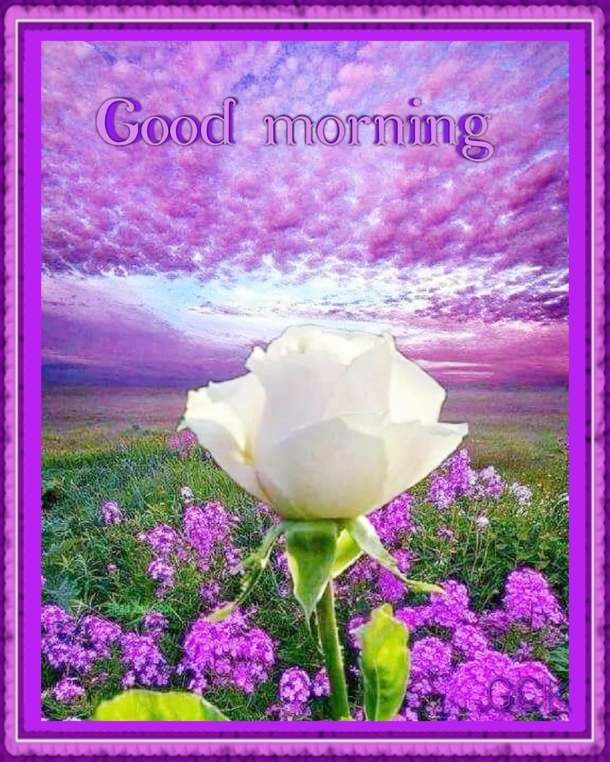 10 Best Good Morning Messages To Have A Glorious Day - picture 9
