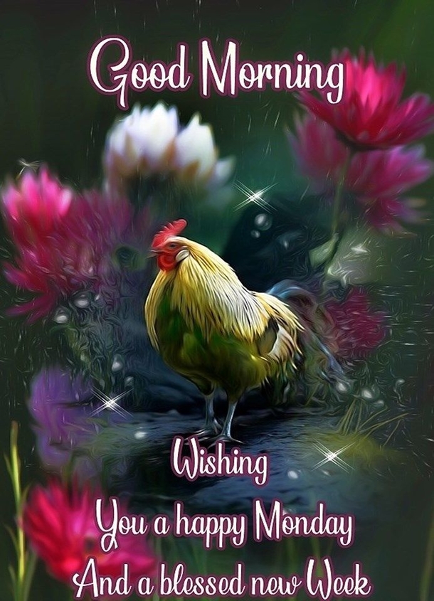 10 Best Good Morning Monday Picture Quotes - picture 11