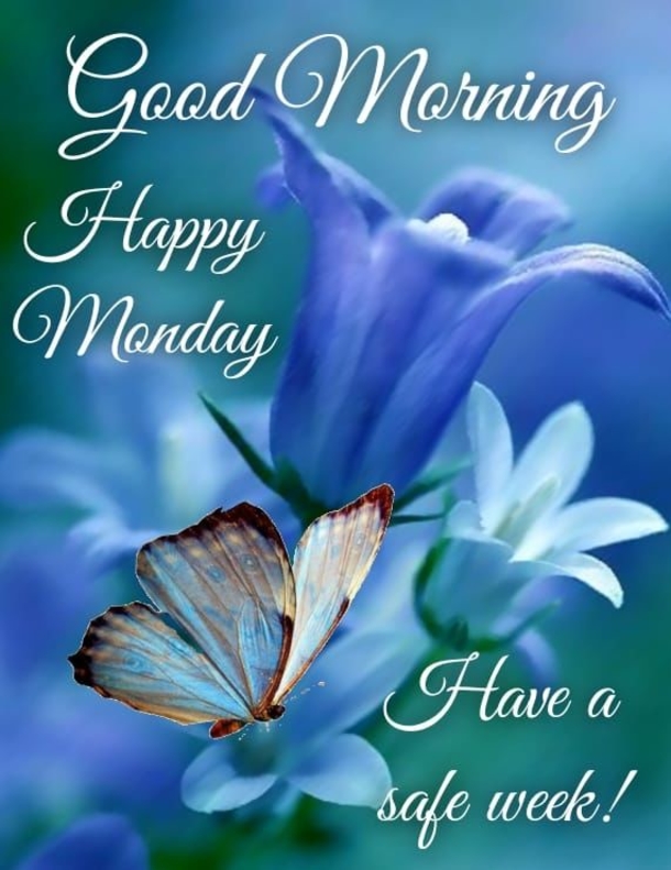 10 Best Good Morning Monday Picture Quotes - picture 6