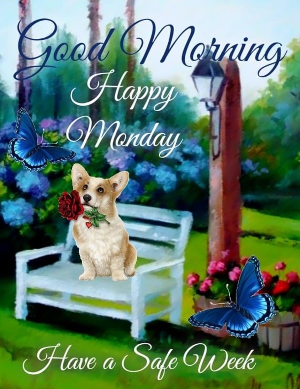 10 Best Good Morning Monday Picture Quotes - picture 7