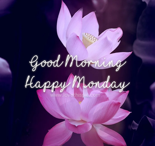 10 Best Good Morning Monday Picture Quotes - picture 9