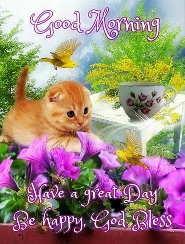10 Best Good Morning Quotes To Make Your Day - picture 10
