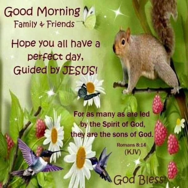 10 Best Good Morning Quotes To Make Your Day - picture 9