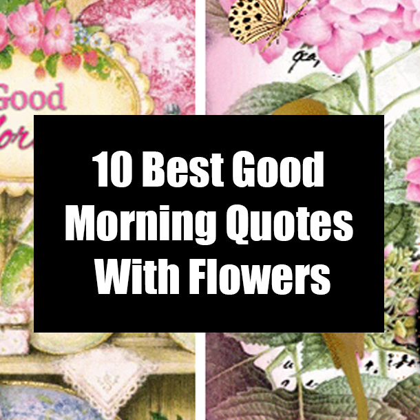 10 Best Good Morning Quotes With Flowers