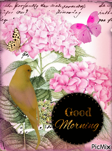 10 Best Good Morning Quotes With Flowers - picture 4