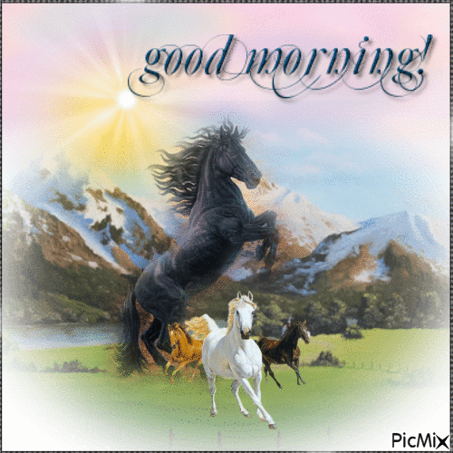 10 Best Good Morning Quotes With Flowers - picture 7