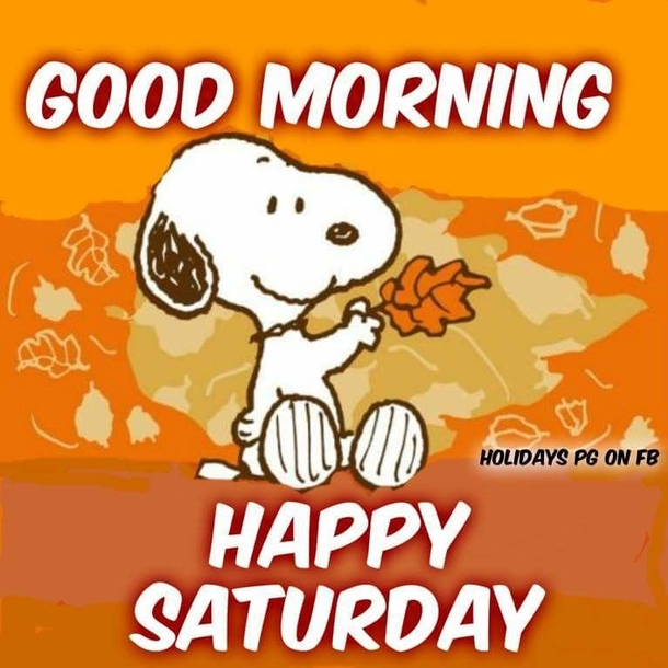10 Best Good Morning Saturday Wishes / Greetings - picture 2