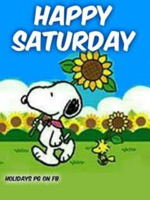 10 Best Good Morning Saturday Wishes / Greetings - picture 3