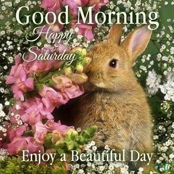 10 Best Good Morning Saturday Wishes / Greetings - picture 5