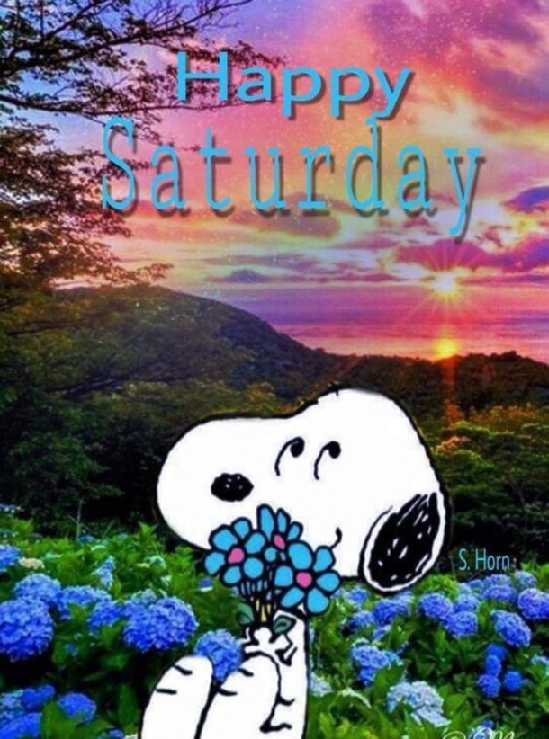 10 Best Good Morning Saturday Wishes / Greetings - picture 8