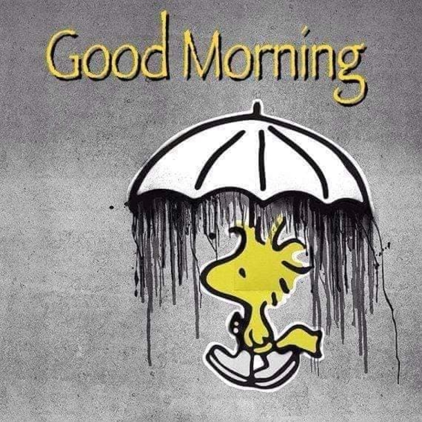 10 Best Good Morning Snoopy Images And Quotes - picture 11