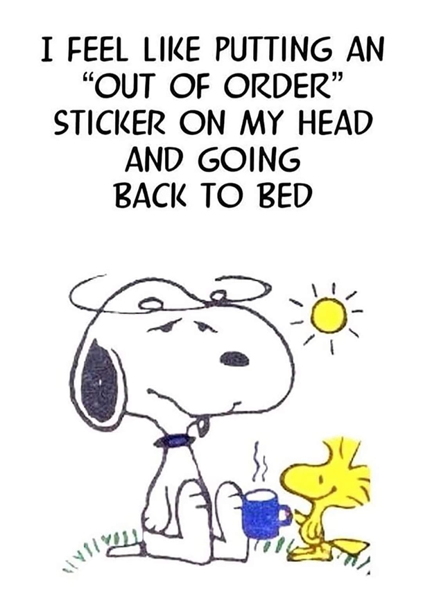 10 Best Good Morning Snoopy Images And Quotes - picture 8