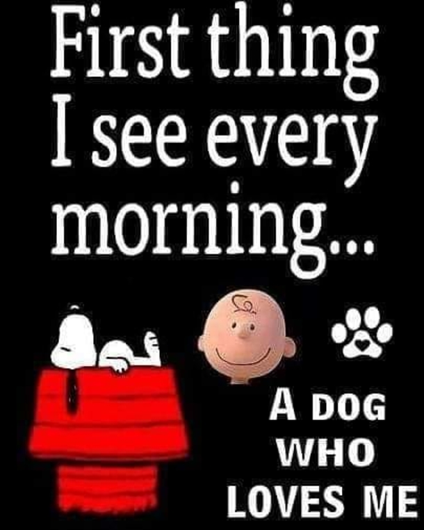 10 Best Good Morning Snoopy Images And Quotes - picture 9