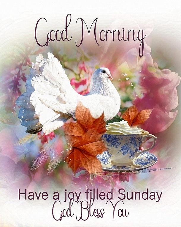 10 Best Good Morning Sunday Wishes & Quotes - picture 10