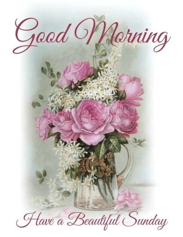 10 Best Good Morning Sunday Wishes & Quotes - picture 11