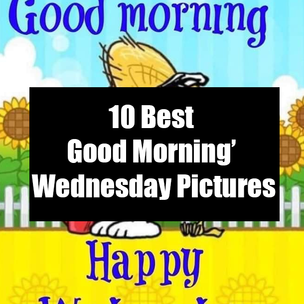 10 Best Good Morning Wednesday Pictures
