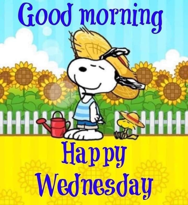 10 Best Good Morning Wednesday Pictures - picture 10