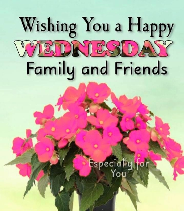 10 Best Good Morning Wednesday Pictures - picture 2