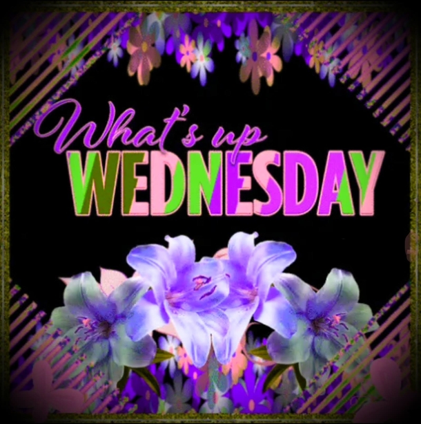 10 Best Good Morning Wednesday Pictures - picture 3
