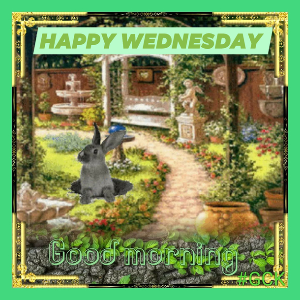 10 Best Good Morning Wednesday Pictures - picture 7