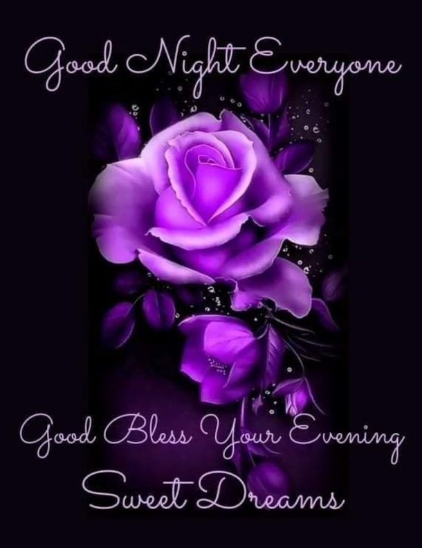 10 Best Good Night / Good Evening Picture Quotes - picture 9