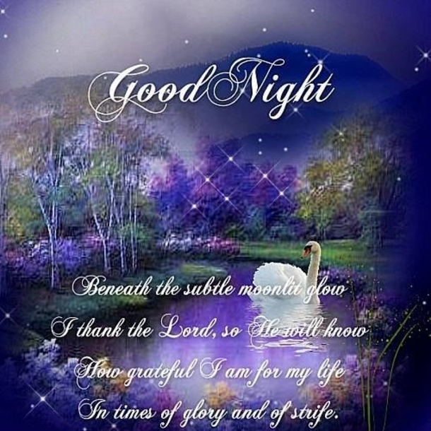 10 Best Good Night Messages & Greetings For You - picture 3