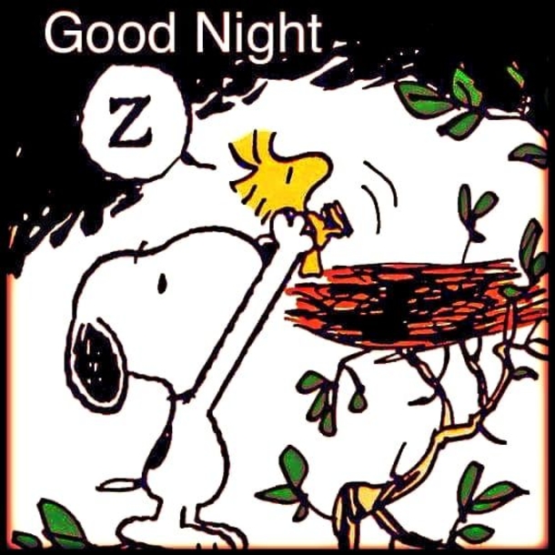 10 Best Good Night Messages & Greetings For You - picture 4