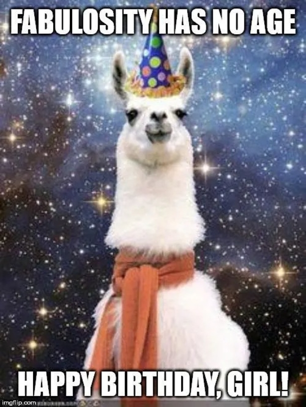 10 Best Happy Birthday Memes That Are Trendy And Fun - picture 6